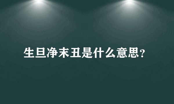 生旦净末丑是什么意思？