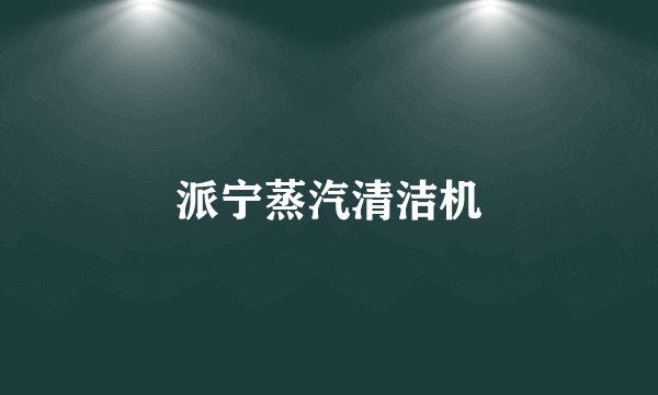 派宁蒸汽清洁机