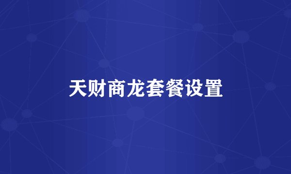 天财商龙套餐设置