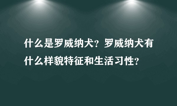 什么是罗威纳犬？罗威纳犬有什么样貌特征和生活习性？