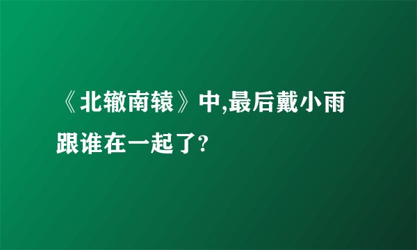 《北辙南辕》中,最后戴小雨跟谁在一起了?