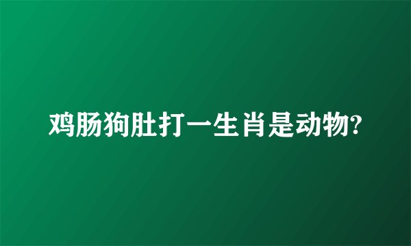 鸡肠狗肚打一生肖是动物?