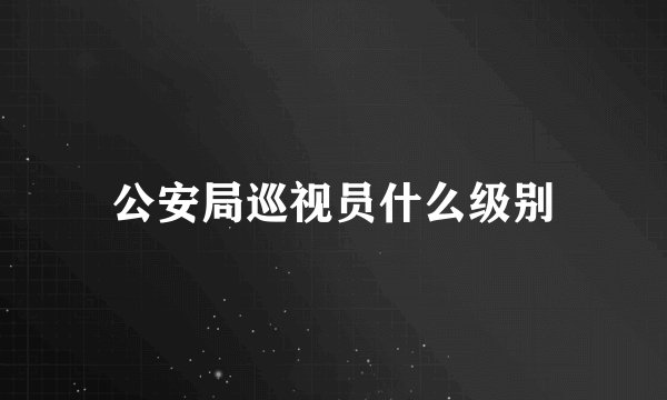 公安局巡视员什么级别