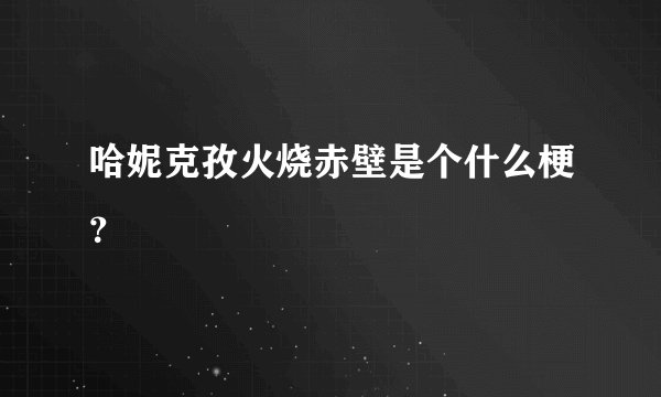 哈妮克孜火烧赤壁是个什么梗？
