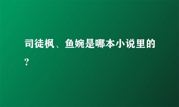 司徒枫、鱼婉是哪本小说里的？