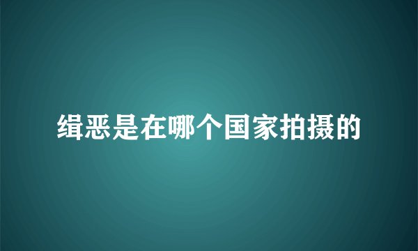 缉恶是在哪个国家拍摄的