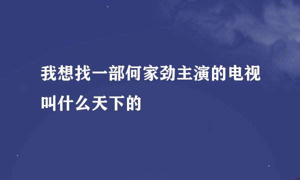我想找一部何家劲主演的电视叫什么天下的
