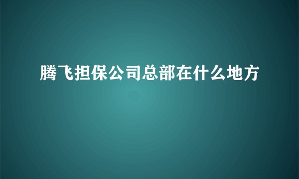 腾飞担保公司总部在什么地方