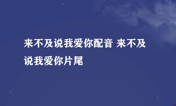 来不及说我爱你配音 来不及说我爱你片尾