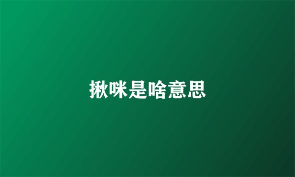 揪咪是啥意思