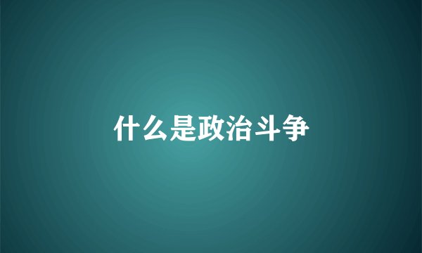 什么是政治斗争