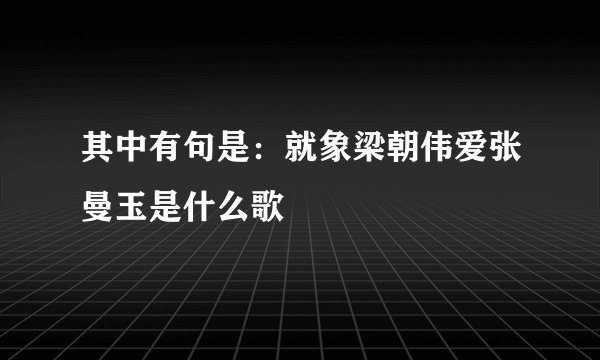 其中有句是：就象梁朝伟爱张曼玉是什么歌