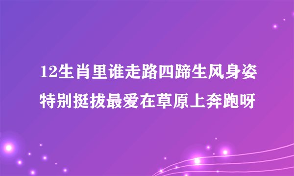 12生肖里谁走路四蹄生风身姿特别挺拔最爱在草原上奔跑呀