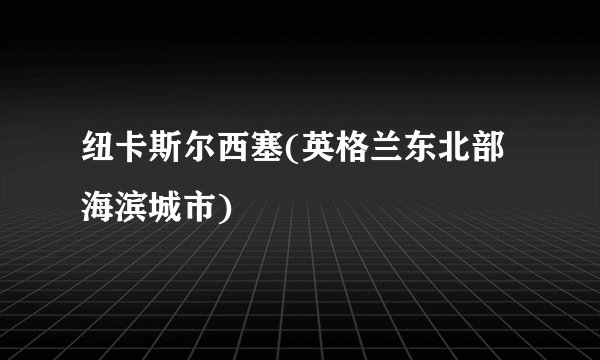 纽卡斯尔西塞(英格兰东北部海滨城市)