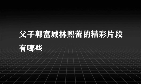 父子郭富城林熙蕾的精彩片段有哪些