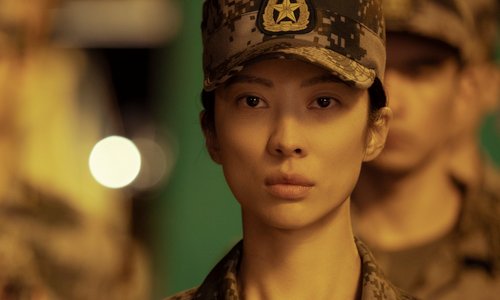 我是特种兵之火凤凰演员表