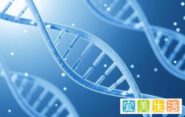 中国股市:未来至少翻10倍的“合成生物”概念股,就这8只!(附股)