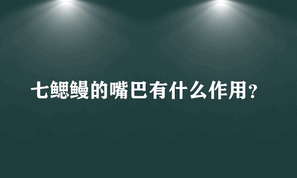 七鳃鳗的嘴巴有什么作用?