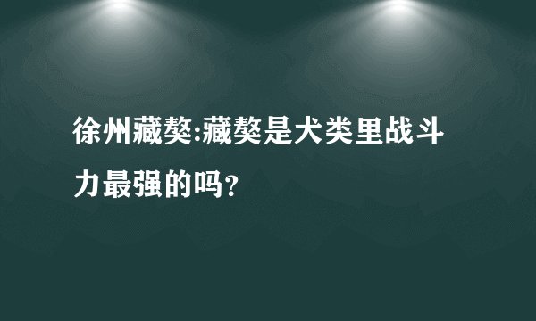 徐州藏獒:藏獒是犬类里战斗力最强的吗？