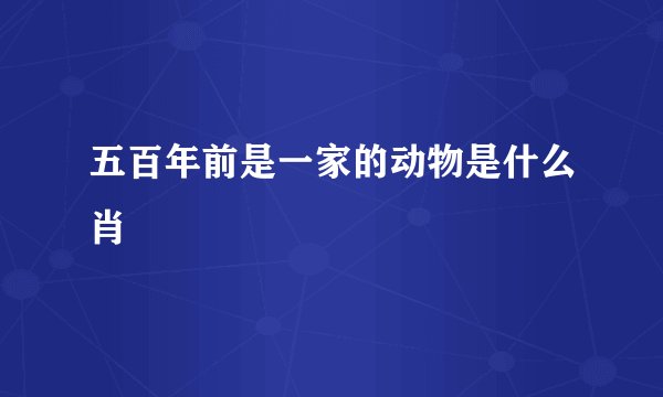 五百年前是一家的动物是什么肖