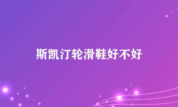 斯凯汀轮滑鞋好不好