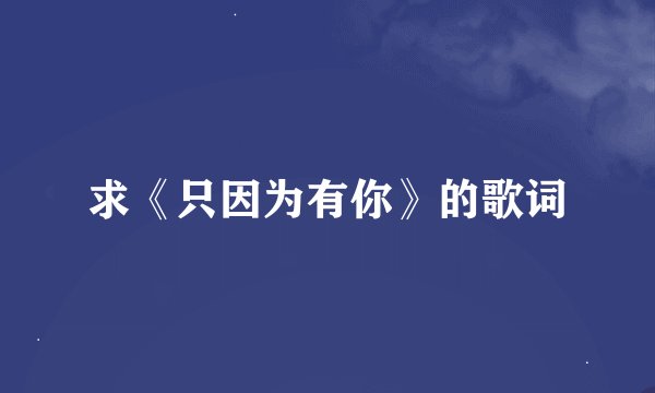 求《只因为有你》的歌词
