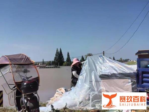 洞庭湖溃口植入钢板拦截洪流