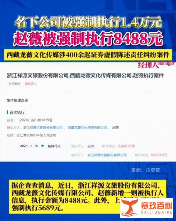 赵薇及公司被强制执行14177元