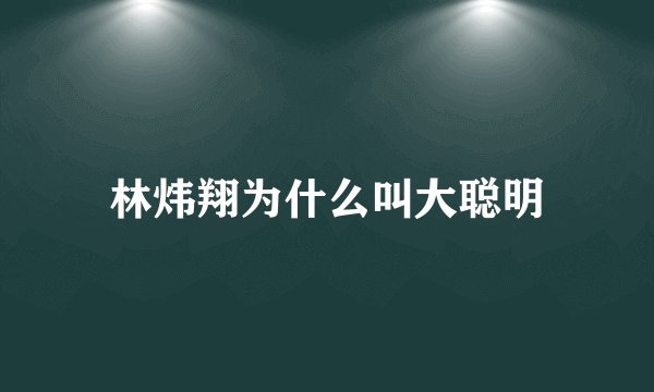 林炜翔为什么叫大聪明