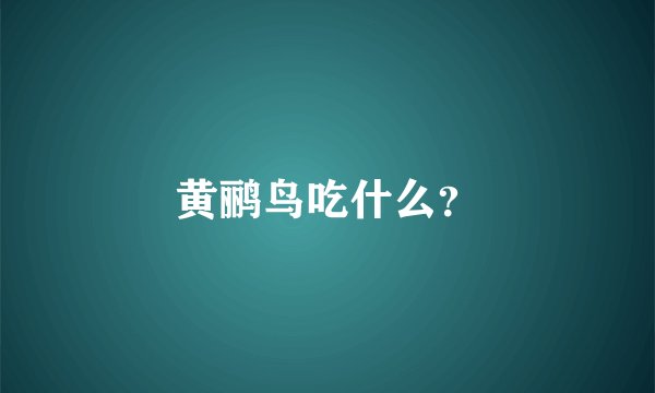 黄鹂鸟吃什么?