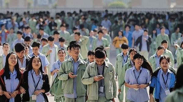 知识差距!有大学生假期涌进流水线,时薪15元!有人辅导1小时300起