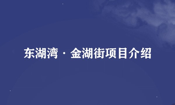 东湖湾·金湖街项目介绍