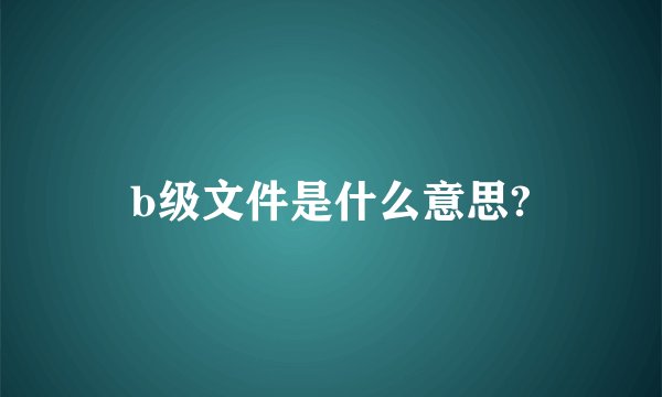 b级文件是什么意思?