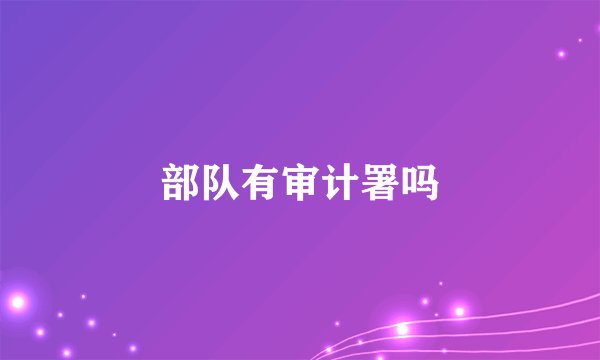 部队有审计署吗