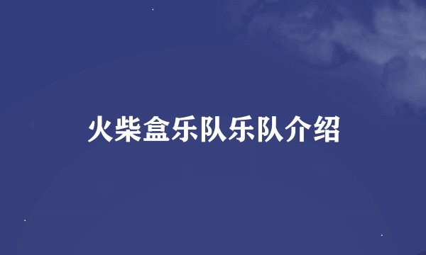 火柴盒乐队乐队介绍