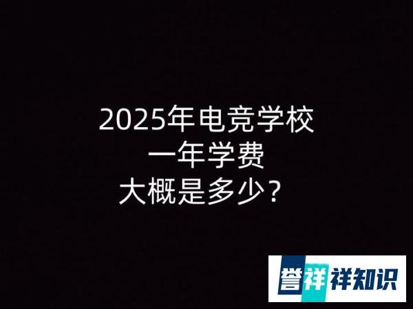 2025年电竞学校一年学费大概是多少？