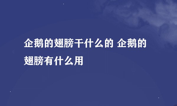 企鹅的翅膀干什么的 企鹅的翅膀有什么用