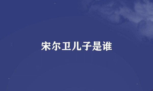 宋尔卫儿子是谁