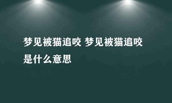 梦见被猫追咬 梦见被猫追咬是什么意思