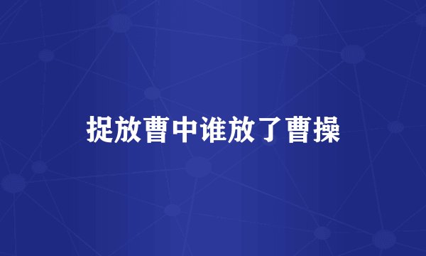 捉放曹中谁放了曹操