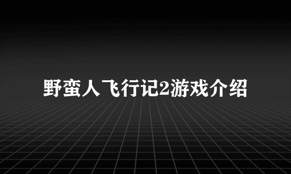 野蛮人飞行记2游戏介绍