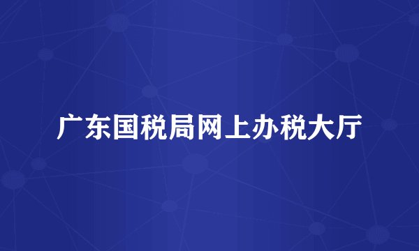 广东国税局网上办税大厅