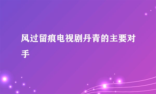 风过留痕电视剧丹青的主要对手