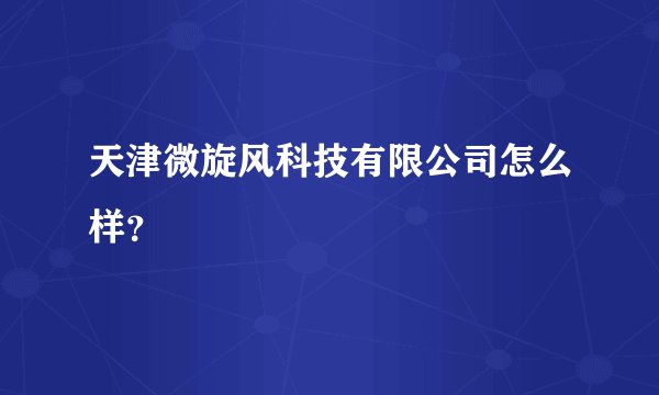 天津微旋风科技有限公司怎么样？