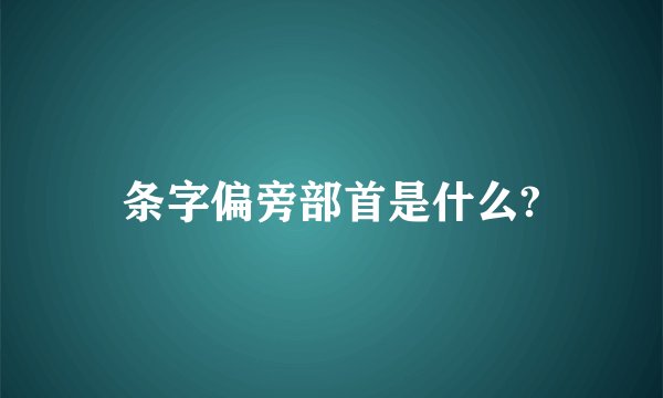 条字偏旁部首是什么?