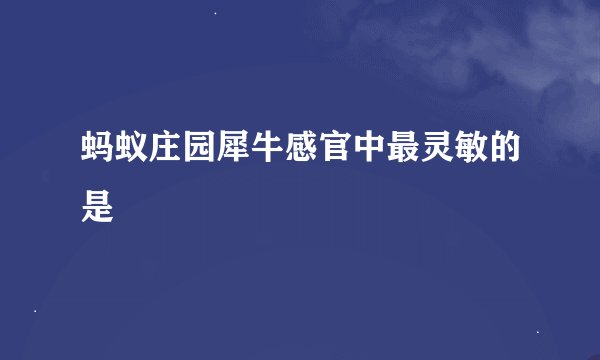 蚂蚁庄园犀牛感官中最灵敏的是