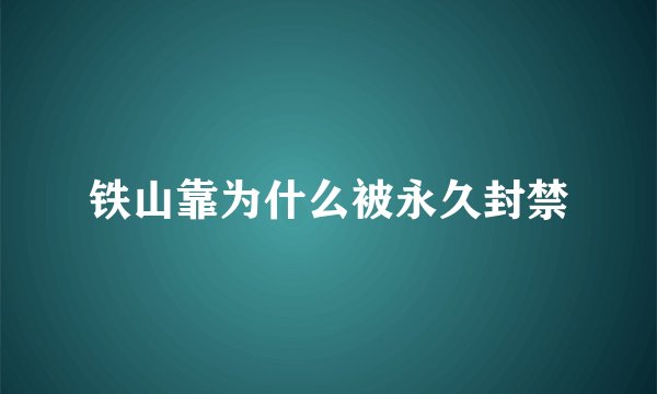 铁山靠为什么被永久封禁