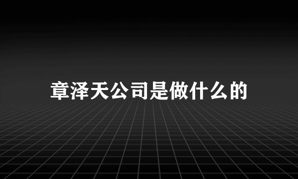 章泽天公司是做什么的