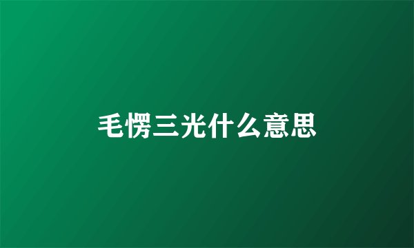 毛愣三光什么意思