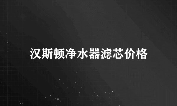 汉斯顿净水器滤芯价格